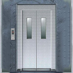 Small Vision Door